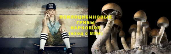 гидропоника Суровикино