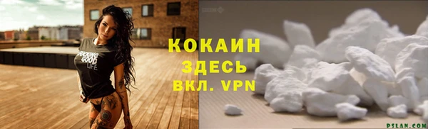 скорость Бикин