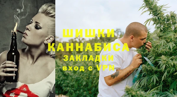 скорость Бикин