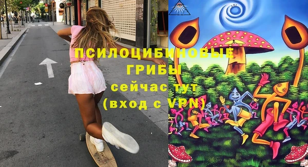 spice Билибино
