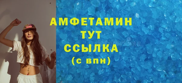 гашик Белая Холуница
