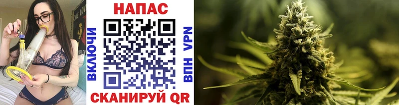 купить наркотик  Костерёво  Шишки марихуана SATIVA & INDICA 